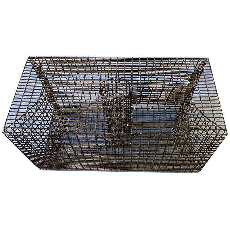22" x 12" x 11.5" Pinfish Bait Trap image number null