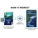 Shark Marine Life Playing/Tracking Cards, 1st Edition image number 1