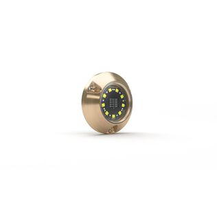 Lumishore LM600491
