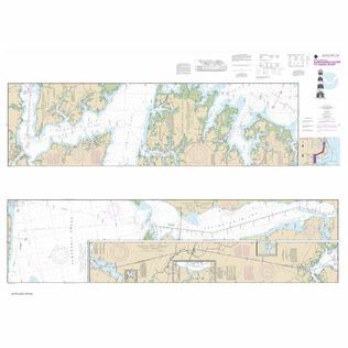#11553 Albermarle Sound to Neuse River Alligator