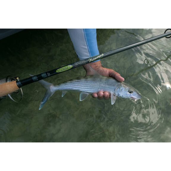 7' Triumph Inshore Spinning Rod, Medium Light Power image number 6