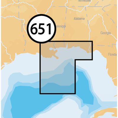 MSD/651P+ Central Gulf of Mexico Platinum+ Charts microSD Card