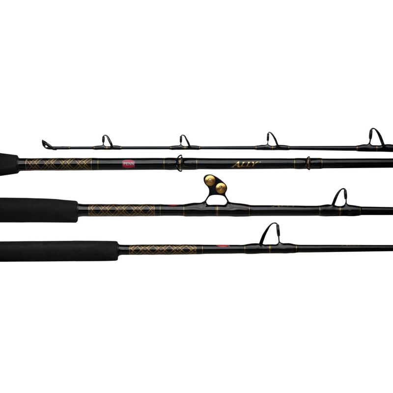 6' Ally Boat Casting Conventional Rod, Extra Heavy Power image number 0