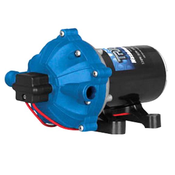 5.3 GPM Super Duty Washdown Pump, 12V image number 0