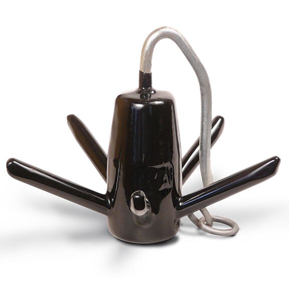 25 lb. Richter Anchor image number 0
