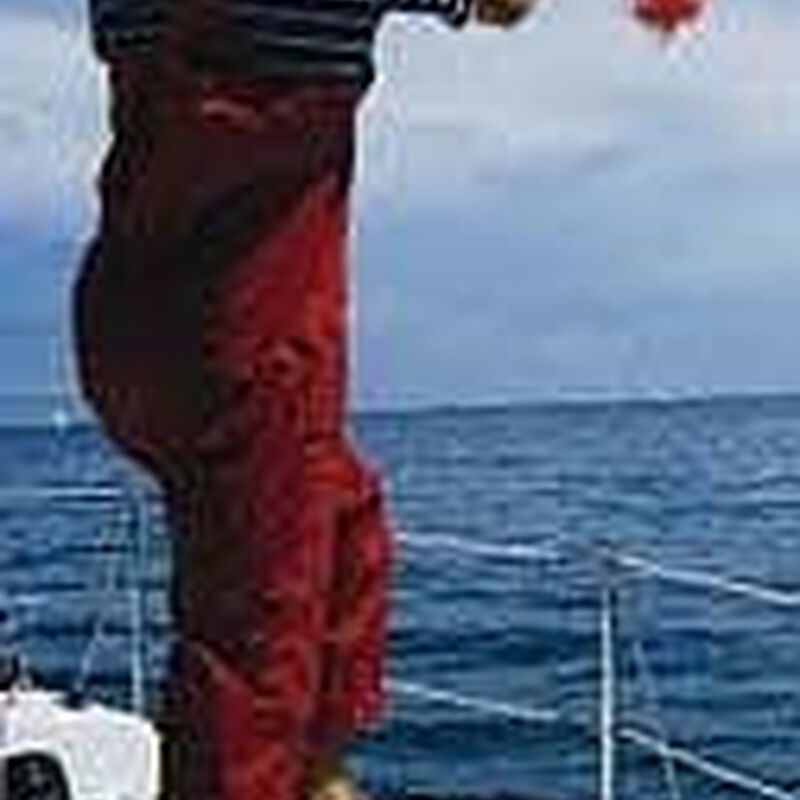 WEST MARINE 50' Throw Rope West Marine