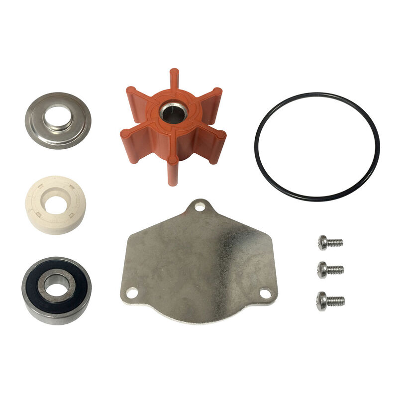 REVERSO Repair Kit for OP7 Oil Change Pump West Marine