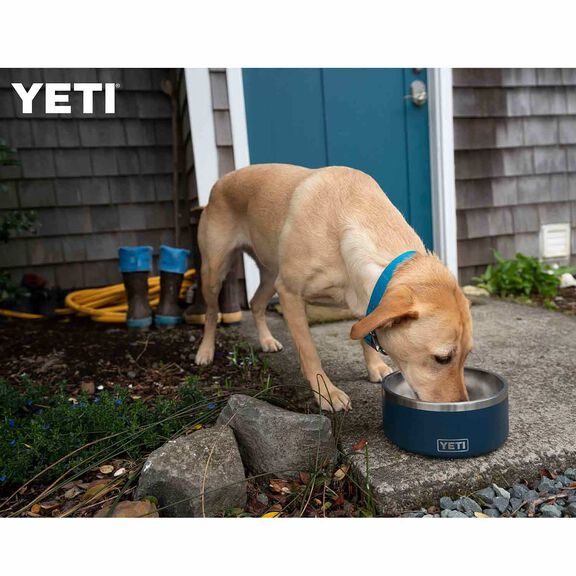 Boomer&trade; 8 Stainless Steel Dog Bowl image number 3