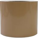 Premium 3" X 50' Single Pinstripe - Buckskin image number 0