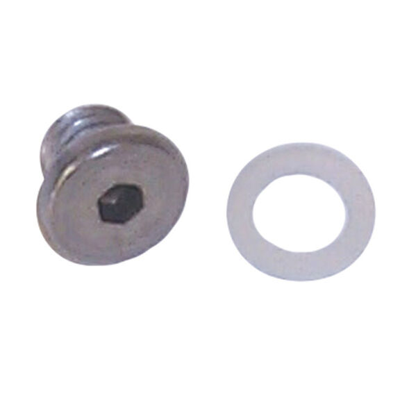 18-4255 Lower Unit Drain Screw image number 0