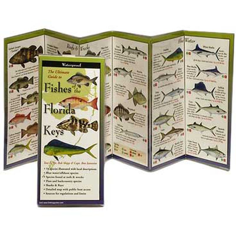 Paradise Cay Fishes of the Florida Keys | by West Marine