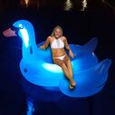 Giant Swan Light Up Float image number 2