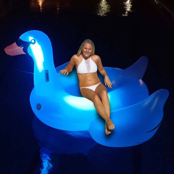 Giant Swan Light Up Float image number 2