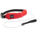 RadDog&trade; All-In-One Collar & Leash, Medium image number 1