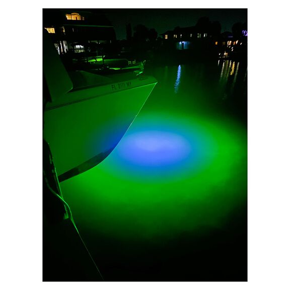 Apollo Iris Underwater Color LED Lighting System image number 5