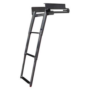 3-Step Under PlatformTelescoping Swim Ladder