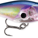 Glass Shad Rap&reg; image number 0