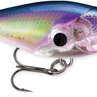 Glass Shad Rap&reg;