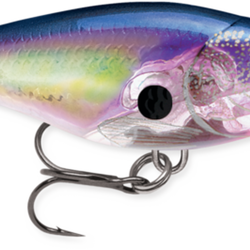 Rapala Glass Shad Rap | For Fishing | by West Marine