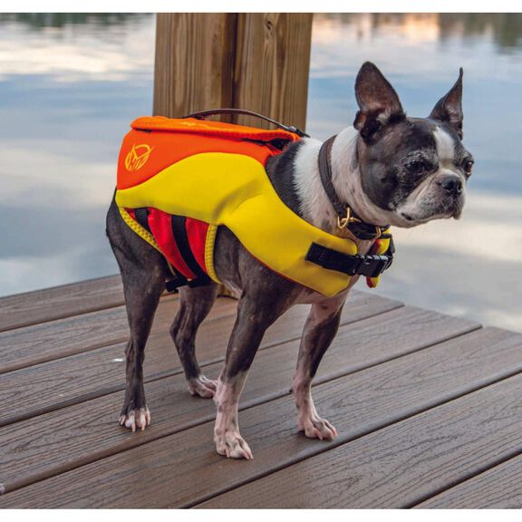 Sage NEO Dog Vest image number 4