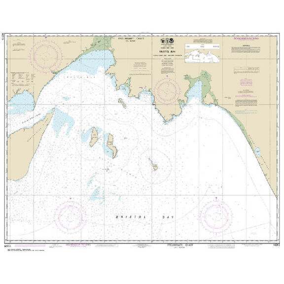 #16315 Bristol Bay Togiak Bay & Walrus Islands image number 0