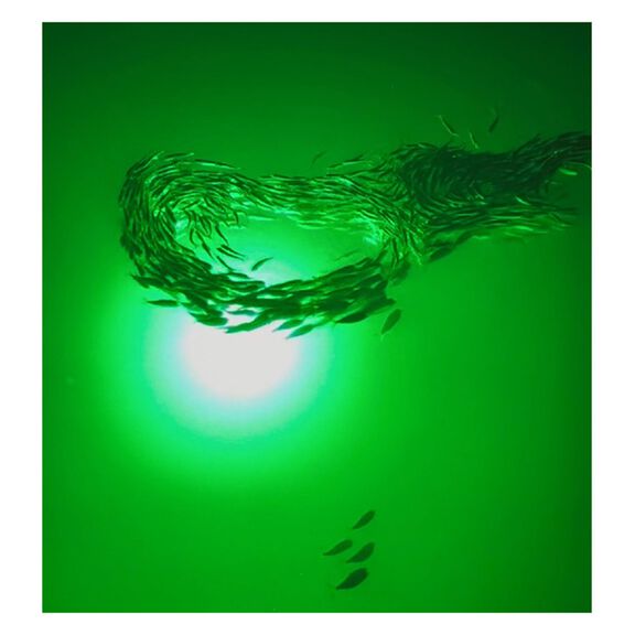 Mega-Watt Underwater Color LED Lighting System image number 5