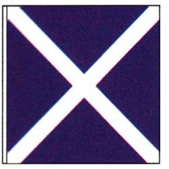 Code of Signals Flag (M) image number 0
