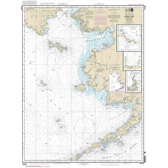 #16006 Bering Sea Eastern Part St. Matthew Island Bering Sea image number 0
