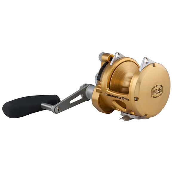 International&reg; 20VISX 2-Speed Conventional Reel, Gold image number 1