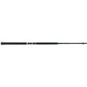 8' Teramar XX WC Baitcasting Rod, Medium Power image number 0