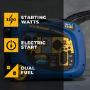 Electric Start Dual Fuel Gas/LPG 3300/3000W Inverter Portable Generator image number 4