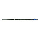 6' Talavera Bluewater Roller Tip Uni Butt Conventional Rod, Extra Extra Heavy Power image number 0