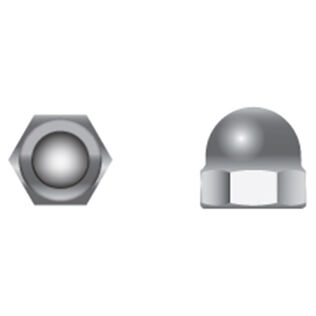 Stainless Steel Cap Nuts