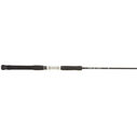 Terez Saltwater Spinning Rods image number 0