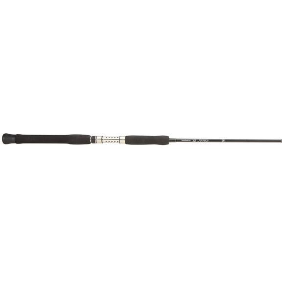 Terez Saltwater Spinning Rods image number 0