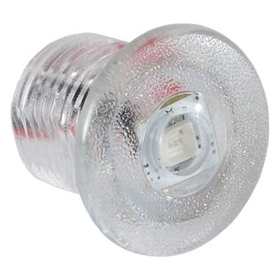 Newt Livewell Lights