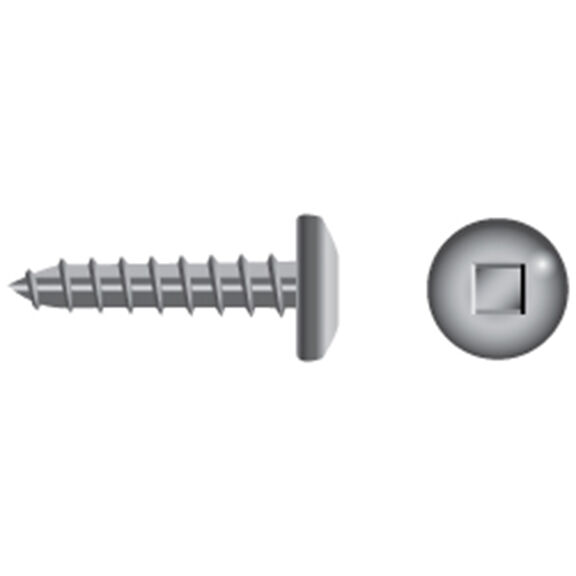 Stainless Steel Square Drive Pan-Head Tapping Screws image number 0