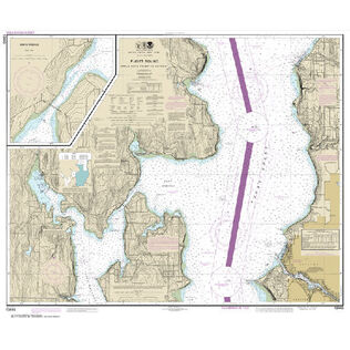 #18446 Puget Sound Apple Cove Point to Keyport Agate Passage