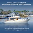 Inflatable Boat Antifouling Paint, Black, Quart (Not for Sale in California) image number 4