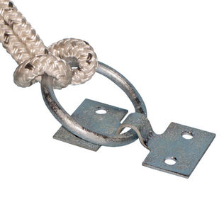 2" Dock Ring with Mounting Plate