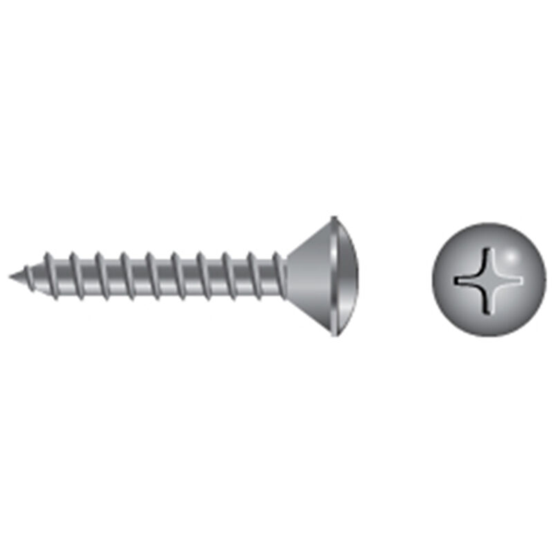 Stainless Steel Phillips Oval-Head Tapping Screws image number null