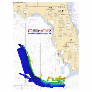 SWFL001S - South West Florida Electronic Chart, for Simrad, Navico