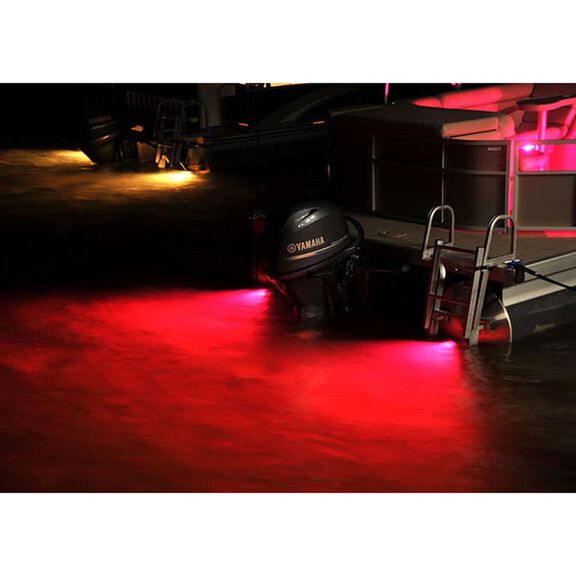 Zambezi Quattro Surface Mount Underwater Pontoon Light, 2,000 Lumen, Spectrum Full Color image number 3