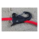 Danik Hook, Orginal Composite image number 6