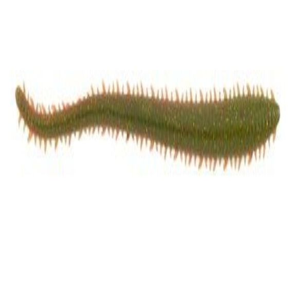 Gulp!&reg; Saltwater Sandworm image number 0