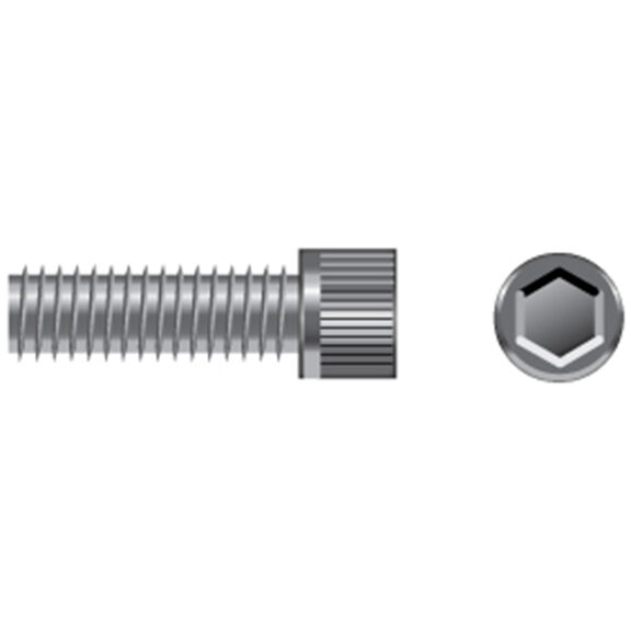 Stainless Steel Coarse Thread Cap Screws image number 0