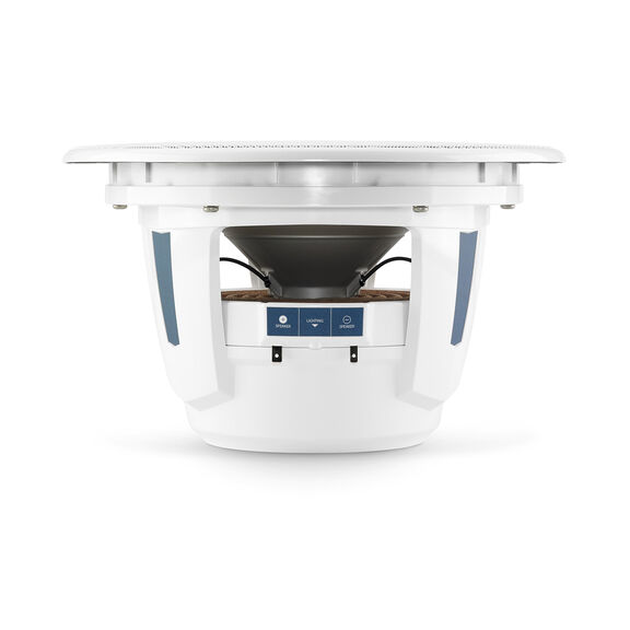 M6-10IB-L-GwGw-4  10" LUXE Premium Marine SubWoofer image number 2