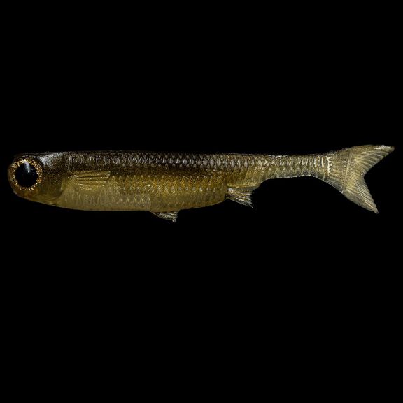 K-Tail Swimbaits image number 0