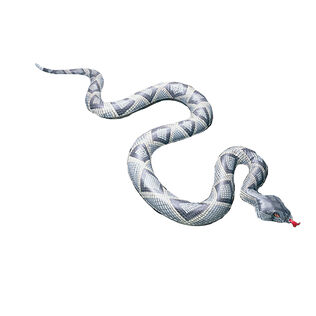 Ship's Snake Decoy