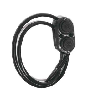Trim Control Switch